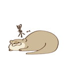 Otter melon : Ayyyy（個別スタンプ：1）