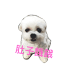 sweet a-ton（個別スタンプ：2）