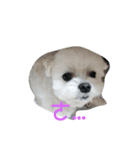 sweet a-ton（個別スタンプ：4）