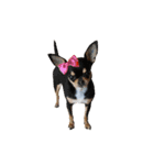 copter-katy n0.2（個別スタンプ：7）