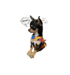 copter-katy n0.2（個別スタンプ：10）
