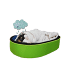 copter-katy n0.2（個別スタンプ：15）