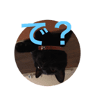 うる猫（個別スタンプ：3）