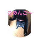 うる猫（個別スタンプ：4）