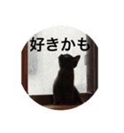 うる猫（個別スタンプ：7）