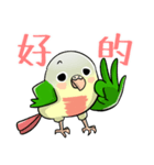 Cute Conure（個別スタンプ：1）