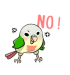 Cute Conure（個別スタンプ：3）