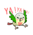 Cute Conure（個別スタンプ：4）