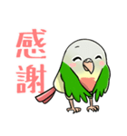 Cute Conure（個別スタンプ：5）