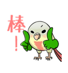 Cute Conure（個別スタンプ：7）