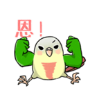 Cute Conure（個別スタンプ：10）