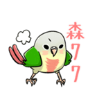 Cute Conure（個別スタンプ：16）