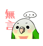 Cute Conure（個別スタンプ：20）