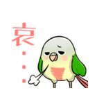 Cute Conure（個別スタンプ：24）