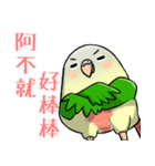 Cute Conure（個別スタンプ：25）