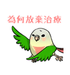 Cute Conure（個別スタンプ：26）