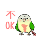 Cute Conure（個別スタンプ：27）