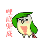 Cute Conure（個別スタンプ：29）