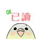 Cute Conure（個別スタンプ：32）