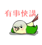 Cute Conure（個別スタンプ：34）