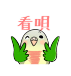 Cute Conure（個別スタンプ：35）