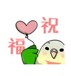 Cute Conure（個別スタンプ：40）