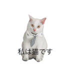 多摩とタゴ（個別スタンプ：6）