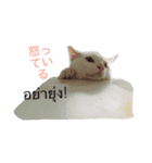 多摩とタゴ（個別スタンプ：7）