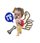 Er zhen bao everyday（個別スタンプ：11）