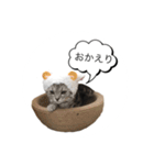 ニャンと小春（個別スタンプ：2）