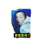 baby So QQQ（個別スタンプ：1）