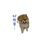 puppy talking to u（個別スタンプ：4）