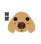 Dachshund (MOMO)（個別スタンプ：3）