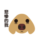 Dachshund (MOMO)（個別スタンプ：5）