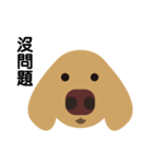 Dachshund (MOMO)（個別スタンプ：9）