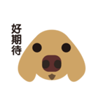 Dachshund (MOMO)（個別スタンプ：10）