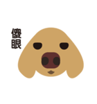 Dachshund (MOMO)（個別スタンプ：11）