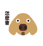 Dachshund (MOMO)（個別スタンプ：12）