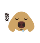 Dachshund (MOMO)（個別スタンプ：13）