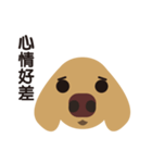 Dachshund (MOMO)（個別スタンプ：14）