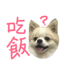 Ruby？（個別スタンプ：3）