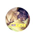Ruby？（個別スタンプ：6）