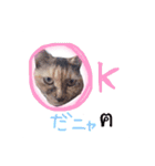 ゆいママstamp（個別スタンプ：12）