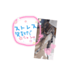 ゆいママstamp（個別スタンプ：14）