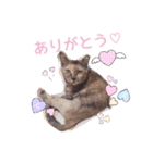 ゆいママstamp（個別スタンプ：15）