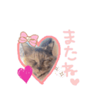 ゆいママstamp（個別スタンプ：16）