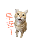 Murmur＆brothers（個別スタンプ：2）
