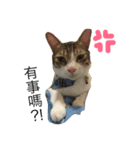 Murmur＆brothers（個別スタンプ：4）