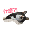 Murmur＆brothers（個別スタンプ：9）