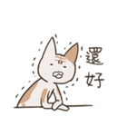 old cat xiang nian ＆ white dog xiao bai3（個別スタンプ：2）